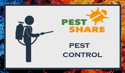 Pest Control